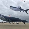 Walfisch Drachen am Strand auf Römö zum Drachenfest